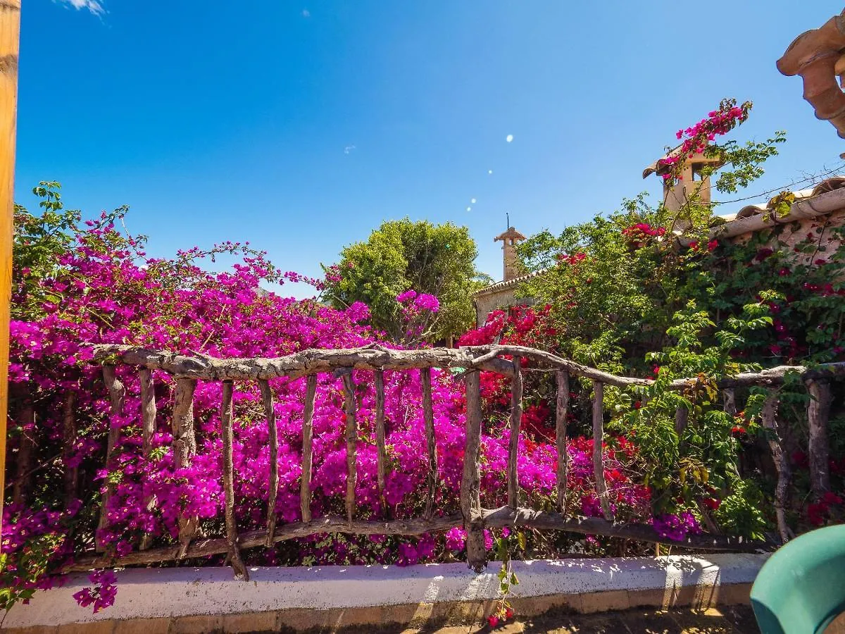 Farm stay Can Cap De Bou By Alquilair Villa Pollenca